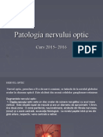 10.patologia Nervului Optic