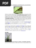 Lectura Especies Aloe Vera