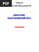 Ejercicios Inducción Electromagnética