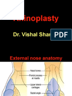 3b. Rhinoplasty