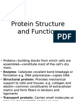 05-Protein Structure and Function