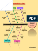 Diagrama de Causa y Efecto Maria Cecilia Garcia PDF