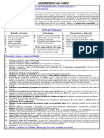 JOB DESCRIPTION - PLANTILLA-Programación y Control de Proyectos