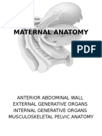 Maternal Anatomy