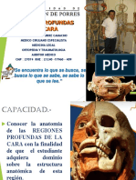 Cara Regiones Profundas DR Jaac PDF