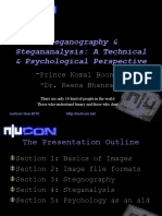 Sempersol Nullcon Reena Prince Presentation On Steganography