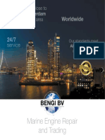 Brochure Bengi PDF