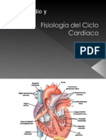 Fisiologia Del Ciclo Cardiaco y Bombeo