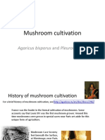 096 Mushroom Cultivation