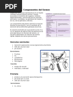 Componentes Del Semen