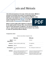 Mitosis Vs Meiosis