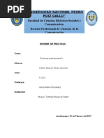 Informe Prácticas Profesionales II