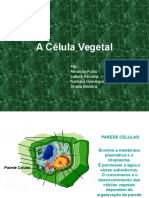 A Célula Vegetal