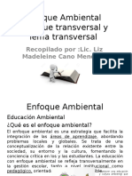 Enfoque Ambiental, Enfoque Transversal y Tema Transversal