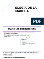 Semiologia de La Marcha