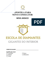 Apostila Escola de Diamantes Pronta