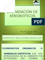 1674588467.presentación Xenobioticos 2012