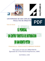 Tesisi Pedregal PDF