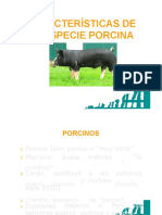 01 CARACTERÍSTICAS ESPECIE PORCINA (Modo de Compatibilidad)