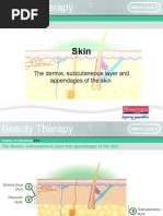 The Dermis, Subcutaneous Layer and Appendages of The Skin: S/NVQ Level 2