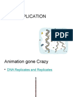 Dna Replication