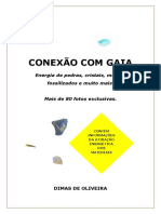 CONEXÃO COM GAIA. Energia de Pedras, Cristais, Metais, Fossilizados e Muito Mais. Livro.