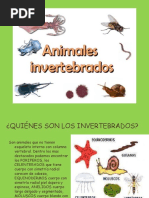  INVERTEBRADOS