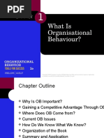 Organisational Behaviour