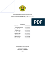 Propionibacterium Acnes 1