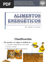 Alimentos Energéticos (Nuevo2)