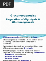 Gluco Neo Genesis