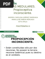 Propioceptiva Inconsciente