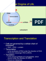 PROTEIN Synthesis