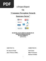 A Project Report On "Consumer Perception Towards Insurance Sector"