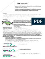 PCR Real Time