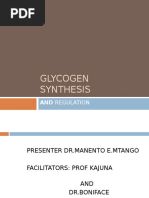 Glycogen Synthesis 2