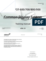 31 Common Display System