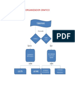 Organizador Grafico