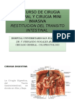 Restitucion Del Transito Intestinal