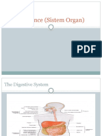 Maintenance (Sistem Organ)