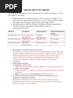 Muscles Worksheet Answers