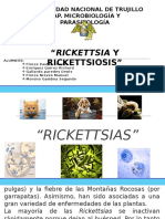 Que Te de Rickettsia