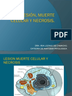 LESION%2c MUERTE CELULAR Y NECROSIS