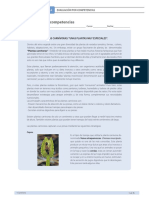 Plantas Carnivoras - Eval. Por Competencias PDF