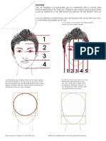 Proporciones Del Rostro