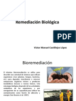 Remediación Biológica