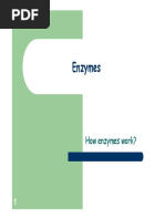 Biochem Enzyme 6