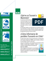 ¿Qué Es Un Tsunami o PDF