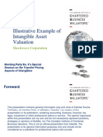 Illustrative Example of Intangible Asset Valuation: Shockwave Corporation