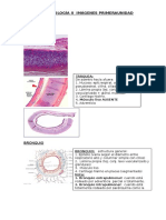 Histología II Imágenes Primera Unidad